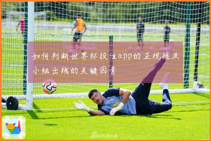 如何判断世界杯投注app的正规性及小组出线的关键因素