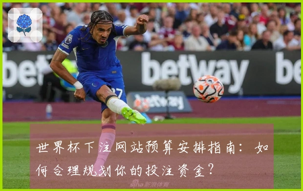 世界杯下注网站预算安排指南：如何合理规划你的投注资金？