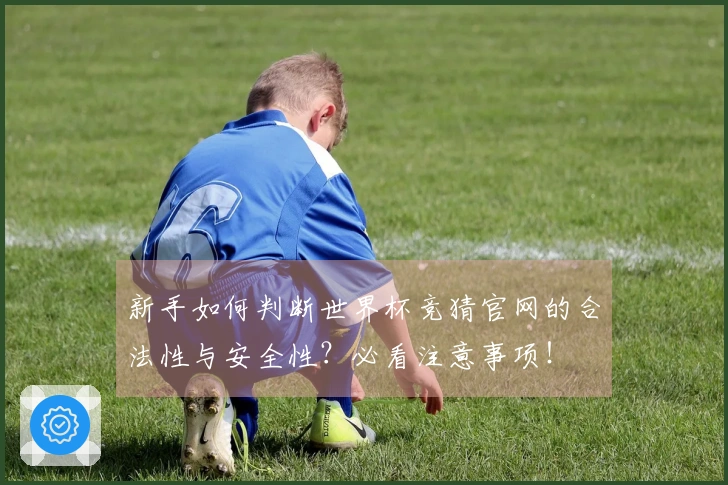 新手如何判断世界杯竞猜官网的合法性与安全性？必看注意事项！