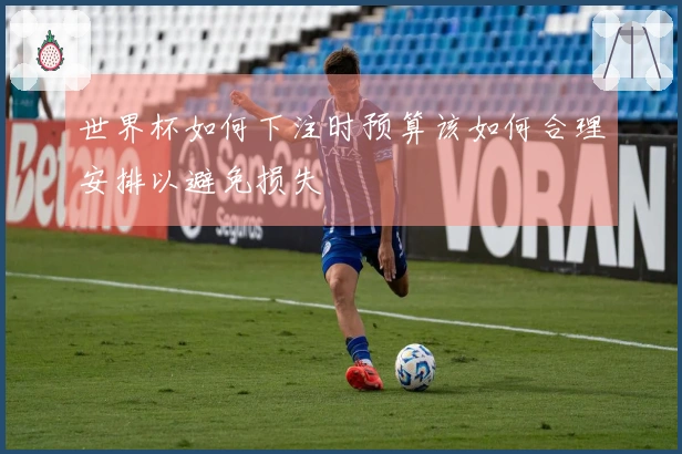 世界杯如何下注时预算该如何合理安排以避免损失