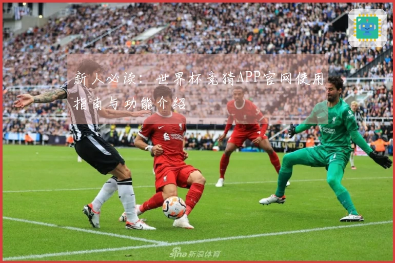 新人必读：世界杯竞猜APP官网使用指南与功能介绍