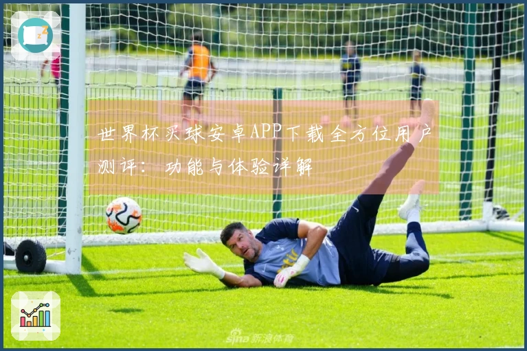 世界杯买球安卓APP下载全方位用户测评：功能与体验详解
