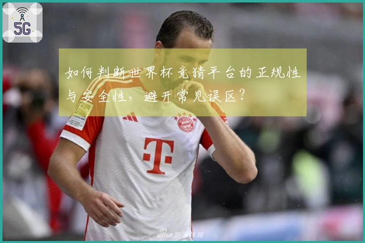 如何判断世界杯竞猜平台的正规性与安全性，避开常见误区？
