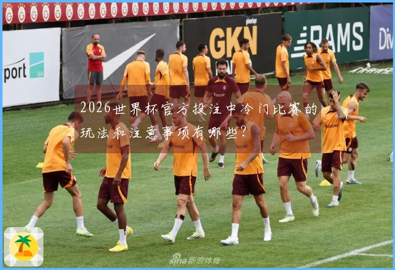 2026世界杯官方投注中冷门比赛的玩法和注意事项有哪些？