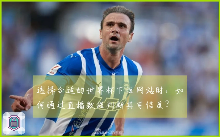 选择合适的世界杯下注网站时，如何通过直播数据判断其可信度？
