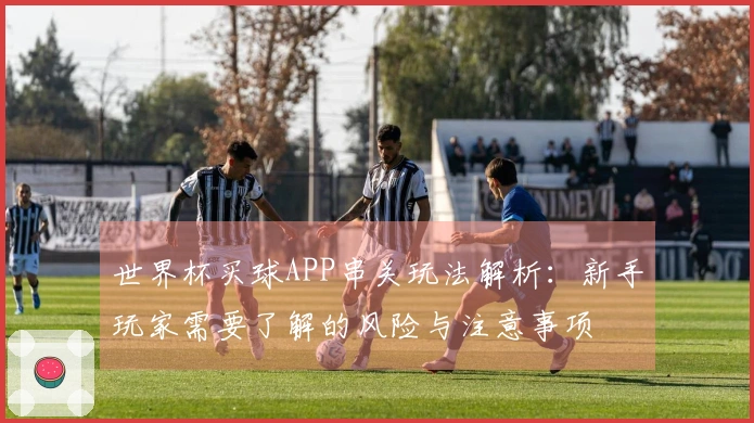 世界杯买球APP串关玩法解析：新手玩家需要了解的风险与注意事项