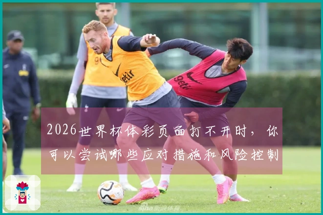 2026世界杯体彩页面打不开时，你可以尝试哪些应对措施和风险控制方法