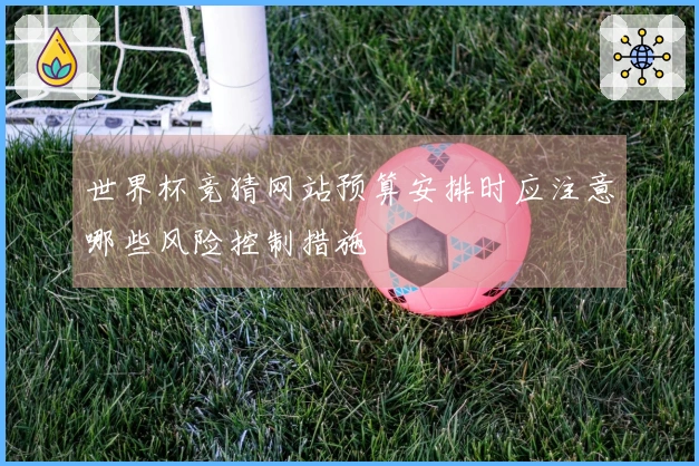 世界杯竞猜网站预算安排时应注意哪些风险控制措施