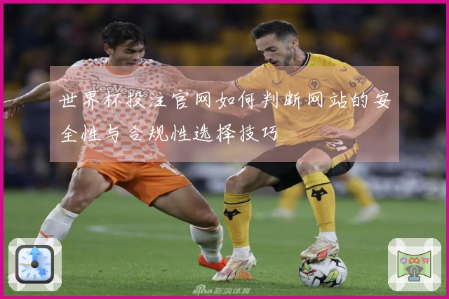 世界杯投注官网如何判断网站的安全性与合规性选择技巧