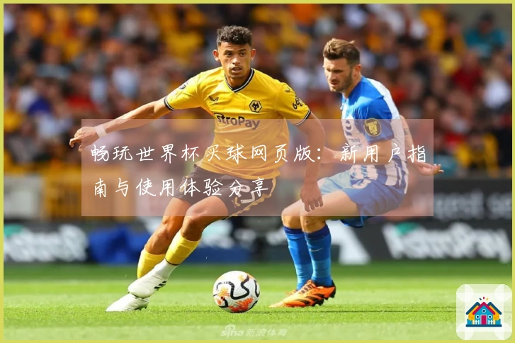 畅玩世界杯买球网页版：新用户指南与使用体验分享