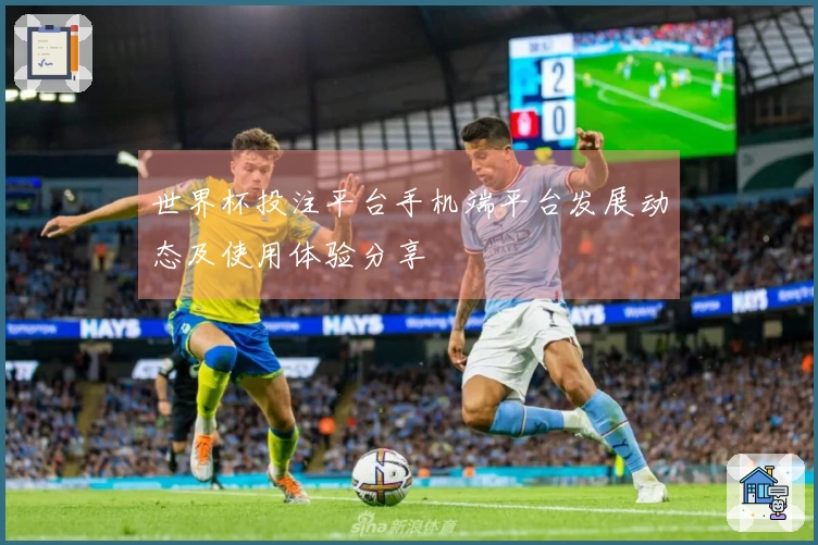 世界杯投注平台手机端平台发展动态及使用体验分享