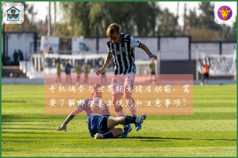 手机端参与世界杯竞猜活动前，需要了解哪些基本规则和注意事项？