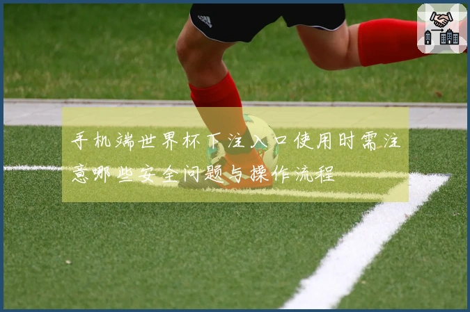 手机端世界杯下注入口使用时需注意哪些安全问题与操作流程