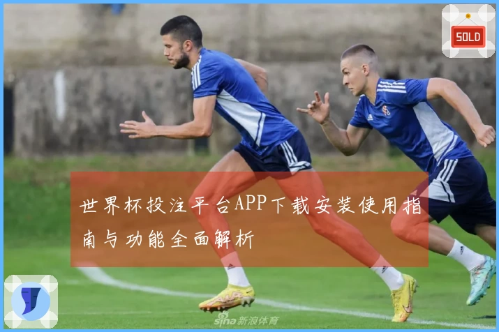 世界杯投注平台APP下载安装使用指南与功能全面解析