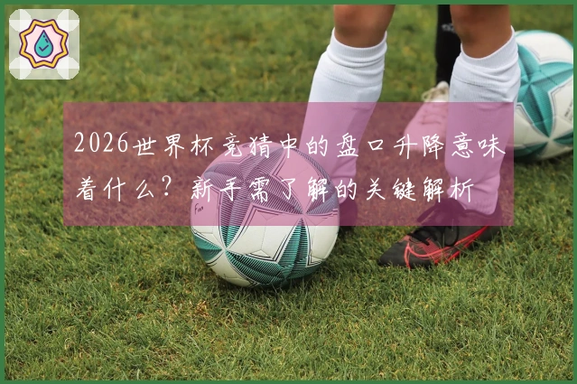 2026世界杯竞猜中的盘口升降意味着什么？新手需了解的关键解析