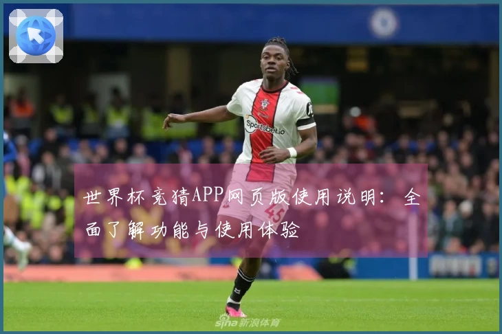 世界杯竞猜APP网页版使用说明：全面了解功能与使用体验