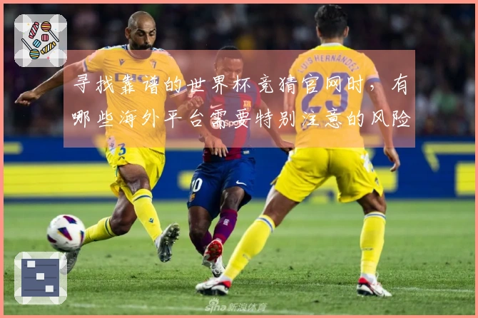 寻找靠谱的世界杯竞猜官网时，有哪些海外平台需要特别注意的风险？