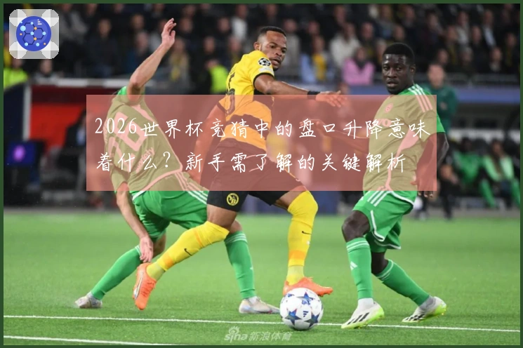 2026世界杯竞猜中的盘口升降意味着什么？新手需了解的关键解析