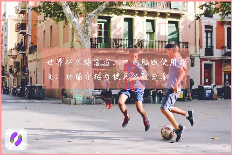 世界杯买球官方入口电脑版使用指南：功能介绍与使用体验分享
