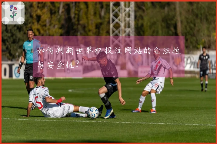 如何判断世界杯投注网站的合法性与安全性？
